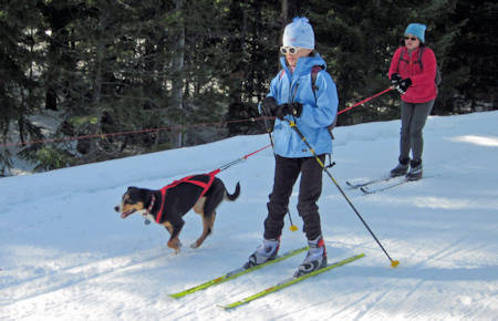 Data's littermate Inga skijoring with her girl Analise