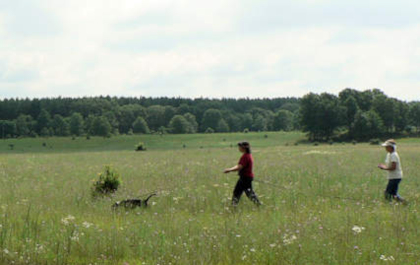 Kai tracking at Hartman Creek