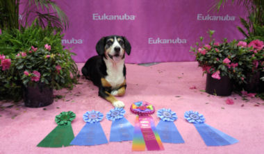 Kai posing with her ribbons 2016 Invitationals