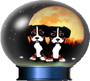 Animated graphic of 2 Entlebuchers in a snow globe