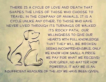 comforting thought about grief