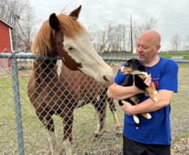 meeting a horse